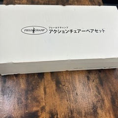 ♡ペアセット　フィールドチャンプ　アクションチェアー　　アウトドアの画像