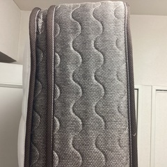 米国シーリー社製、ボンネルコイルシングルベット、プレミアムシリーズの画像