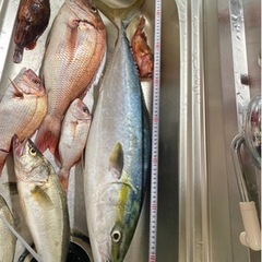 三河ボートフィッシングしませんか？