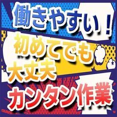 ☆レア求人☆飛行機内の清掃のお仕事(日勤)！未経験OK！若手～ミドル男女活躍中！！の画像