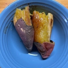 11     大津産紅はるか　5キロ