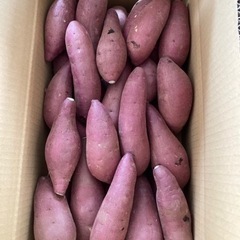 11     大津産紅はるか　5キロの画像