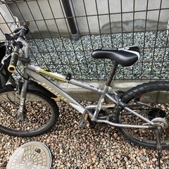 22インチ　子供　 自転車 の画像