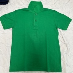 服/ファッション ポロシャツ グレーとグリーンの画像