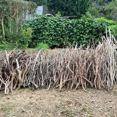 あげます！焚き木　木の枝　焚き付け用　焚き火用　好きなだけどうぞ 