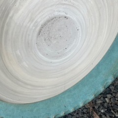 大鉢4生活雑貨 家庭用品 ガーデニングの画像