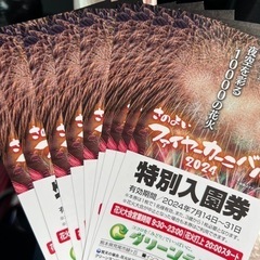 決まりました　グリーンランド  無料入園券