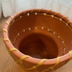 植木鉢　植物　インテリア　アクタスの画像