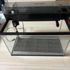 60㎝水槽の中古が安い！激安で譲ります・無料であげます(27