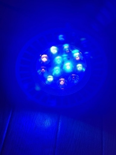 ボルクスジャパン  グラッシーレディオRX122   DEEP    クリップ付き