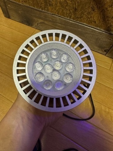 ボルクスジャパン  グラッシーレディオRX122   DEEP    クリップ付き