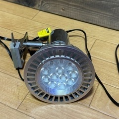 ボルクスジャパン  グラッシーレディオRX122    REEF    クリップ付きの画像