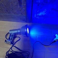 ボルクスジャパン グラッシーレディオRX072e  DEEP クリップ付き の画像