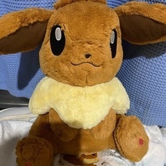 イーブイ