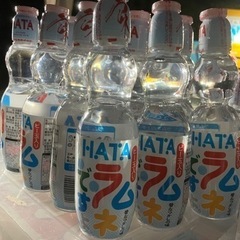 【値下げ】ビー玉入りラムネ（ペットボトル）３０本入りの画像