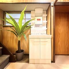 【🏠10年住んだら土地＆建物もらえます💰】稲城戸建3DK、駅徒歩9分‼ ペット🐶😺可‼️ DIY(セルフリフォーム🔧)可‼️ 初期費用ゼロゼロ😍 仲介手数料ナシ‼😍 - 不動産