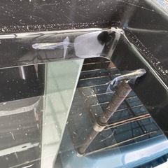 メダカ  1匹から大量発注も受け付けてます