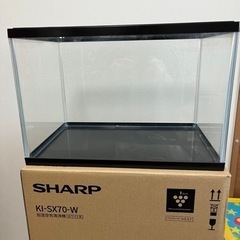 水槽の画像