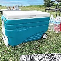 〓 美品・格安 〓　特大 クーラーボックスの画像