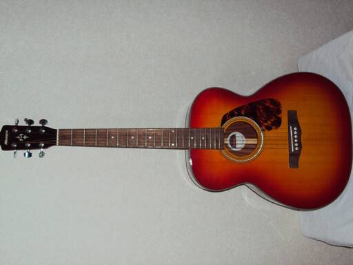 morris F-351CS アコースティックギター【岩手県内配送可】