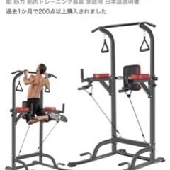 【ほぼ未使用】懸垂機