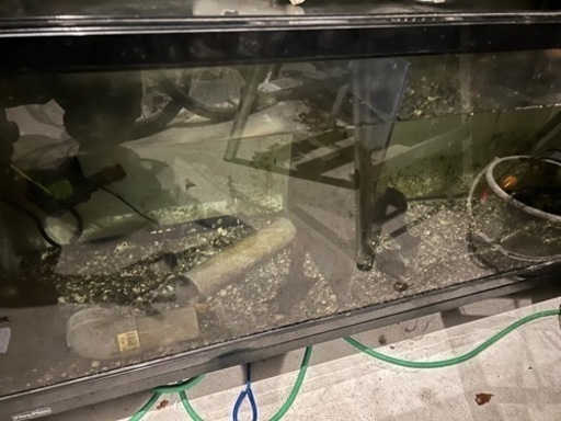 ニッソー1200❌45❌45水槽