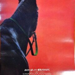 JRA 1993 カレンダー 表紙＋12枚