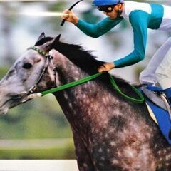 JRA 1993 カレンダー 表紙＋12枚の画像