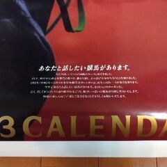 JRA 1993 カレンダー 表紙＋12枚の画像