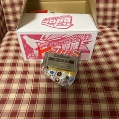 2024.プロ野球チップス