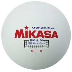 【男女不問】レクバレーチームの練習相手急募