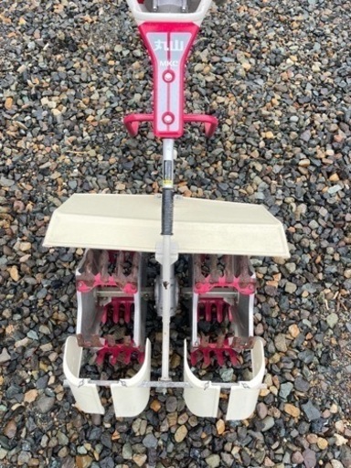 水草茂「かまきり様オーダー用」 水草茂「かまきり様オーダー用」 水草茂「かまきり様オーダー用」 水草