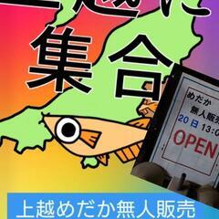めだか無人販売！営業再開‼️