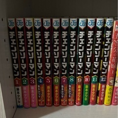 チェンソーマン12巻