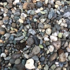 水槽　敷石　砂利　小石　盆栽石金魚　熱帯魚　海水魚　淡水魚　ガーデニングの画像