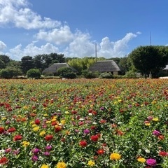 色々と話せたら嬉しいです♪