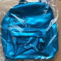 ドナルドリュックの画像