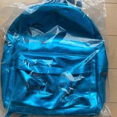 ドナルドリュックの画像