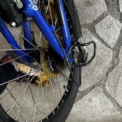 小学生男子自転車の画像