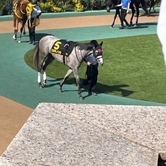 競馬友達募集