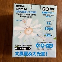 ライト　