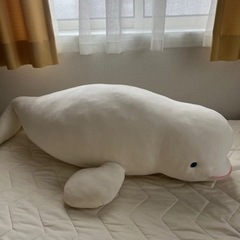 ベルーガのぬいぐるみ　抱き枕