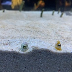 どなたでも気軽に！※注意事項あり 