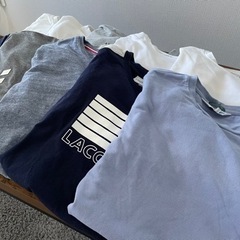 LACOSTE 　Tシャツ の画像