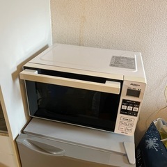 500.600w電子レンジ