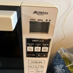 500.600w電子レンジの画像