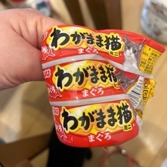 決まりました。わがまま猫ミニまぐろ