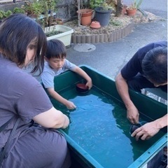 【15日開催！】めだかすくい&めだかくじ