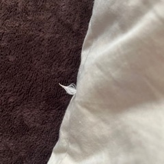 羽毛100%ヌードクッション4個組の画像