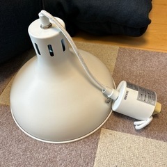 ペンダントライトの画像